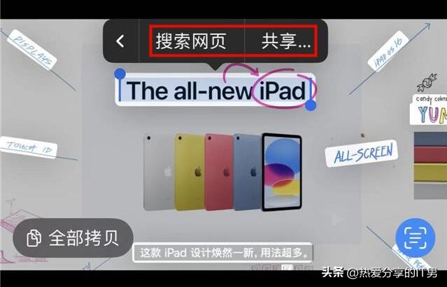 苹果实况文本功能怎么设置,苹果ios16实况文本怎么弄