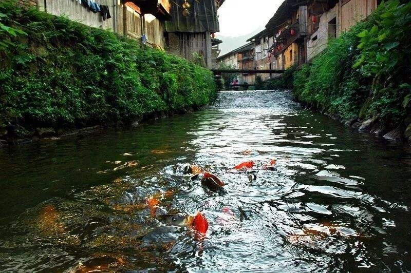 福建冷门又好玩的地方,五一福建冷门旅游景点人少风景美