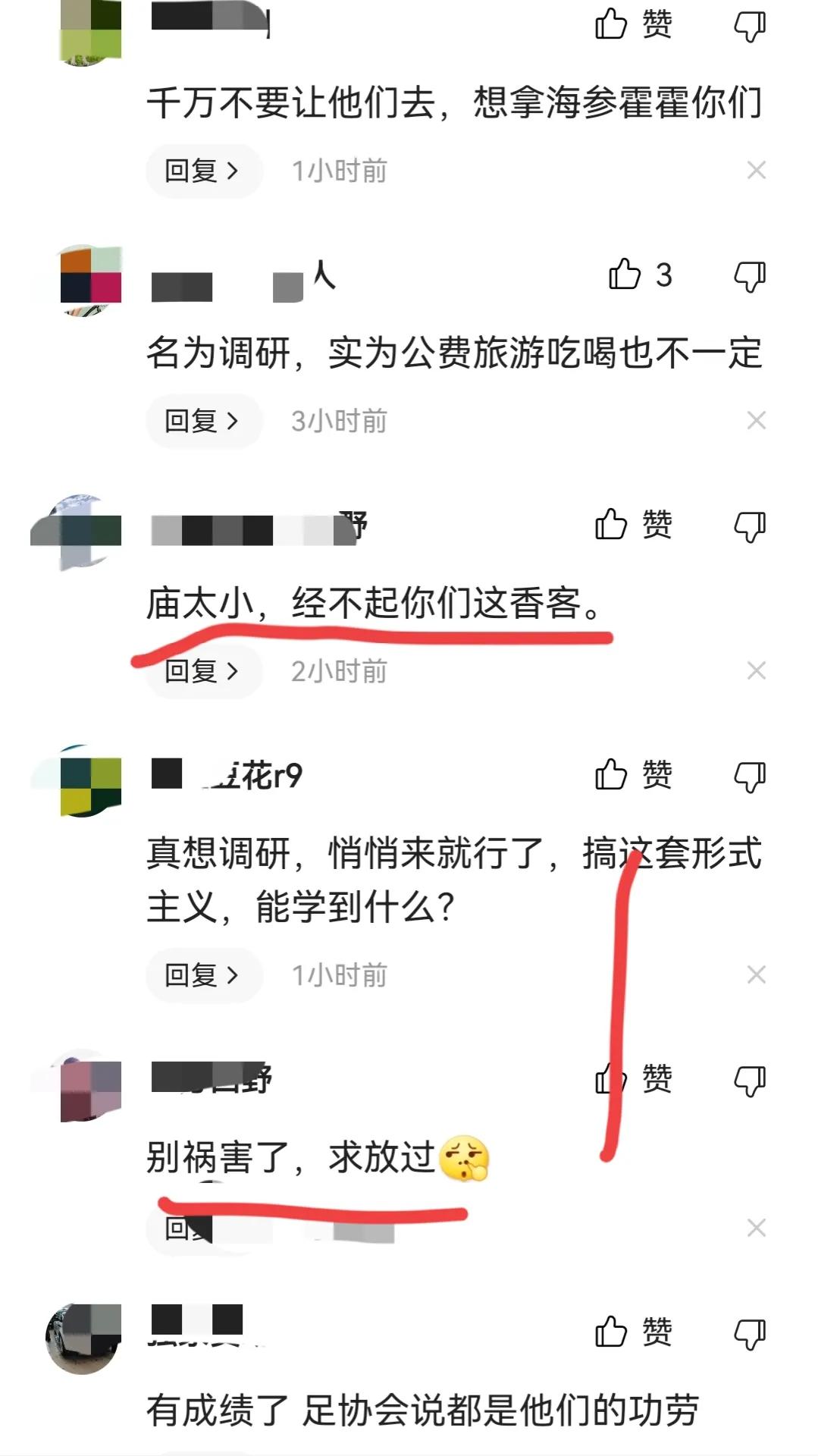 华春莹为“村超”点赞，足协想到“村超”调研，网友：不欢迎。