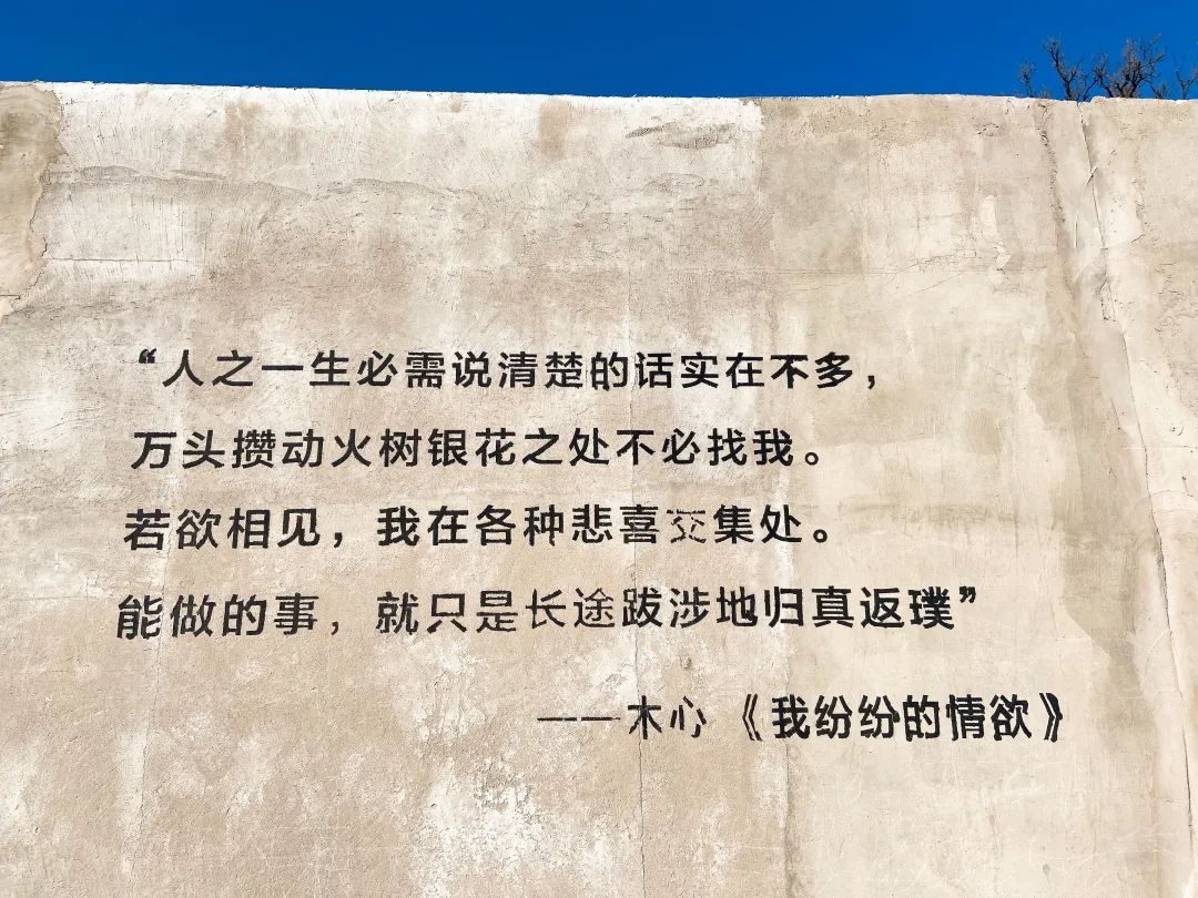 日流水20万，它在院里卖驴肉，小院餐饮正悄悄走火