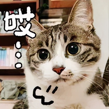 基数大怎么减脂,21天有效减5%体脂率