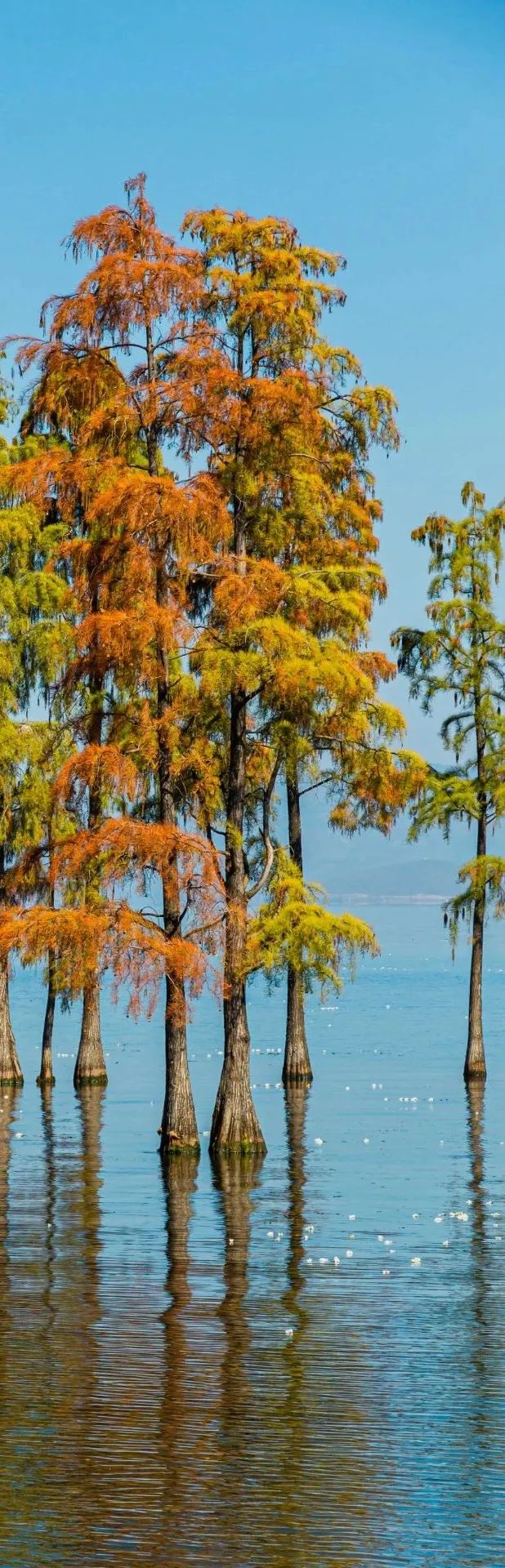 大理洱海攻略必玩景点,洱海怎么玩比较合适