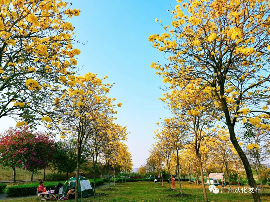 两人从化两天一夜游玩攻略,去从化玩的攻略