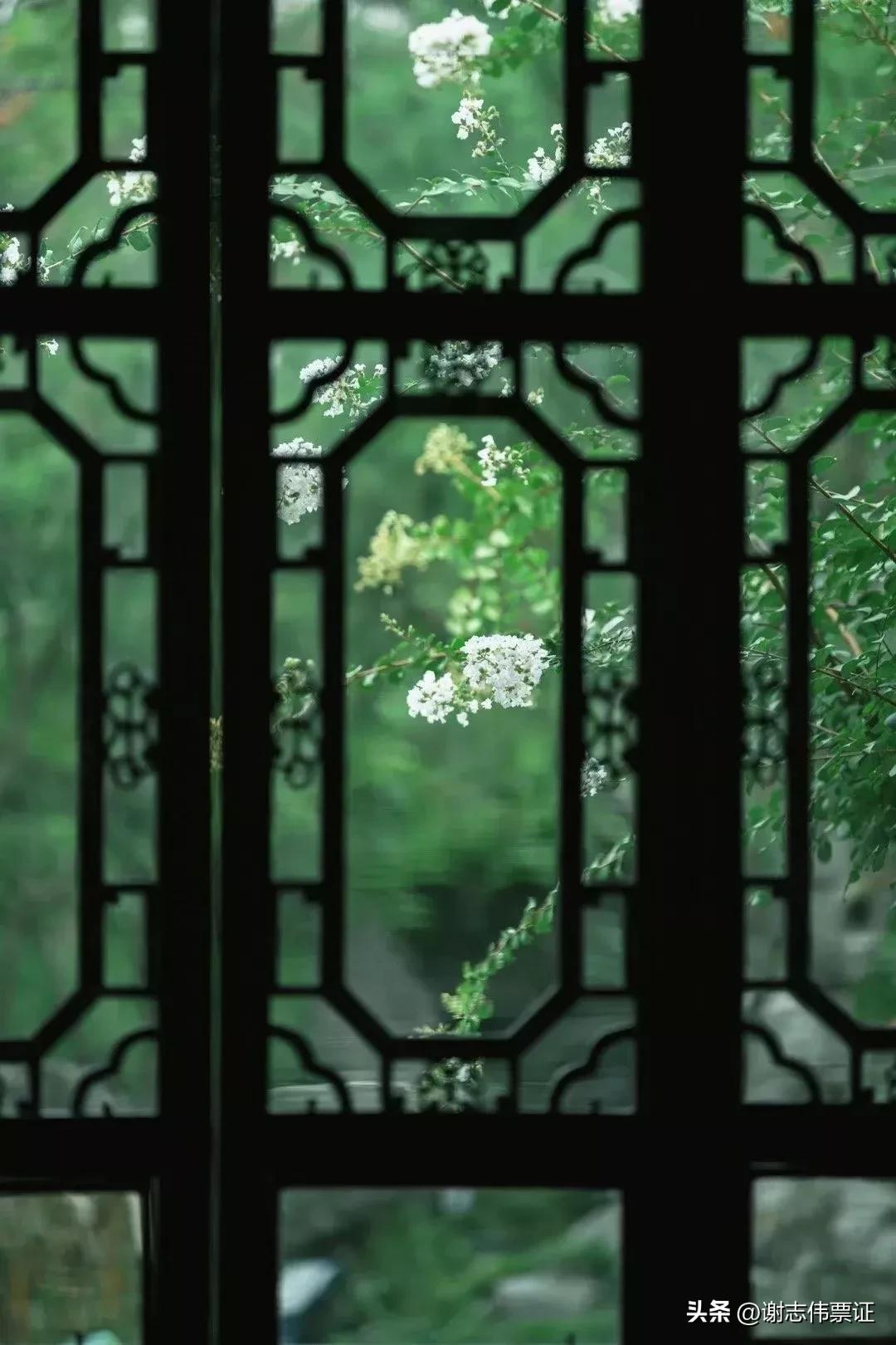 苏州古典园林各个景观特色,苏州园林风景美感极致