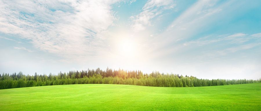 人造草坪检测费用,人造草坪新国标检测机构