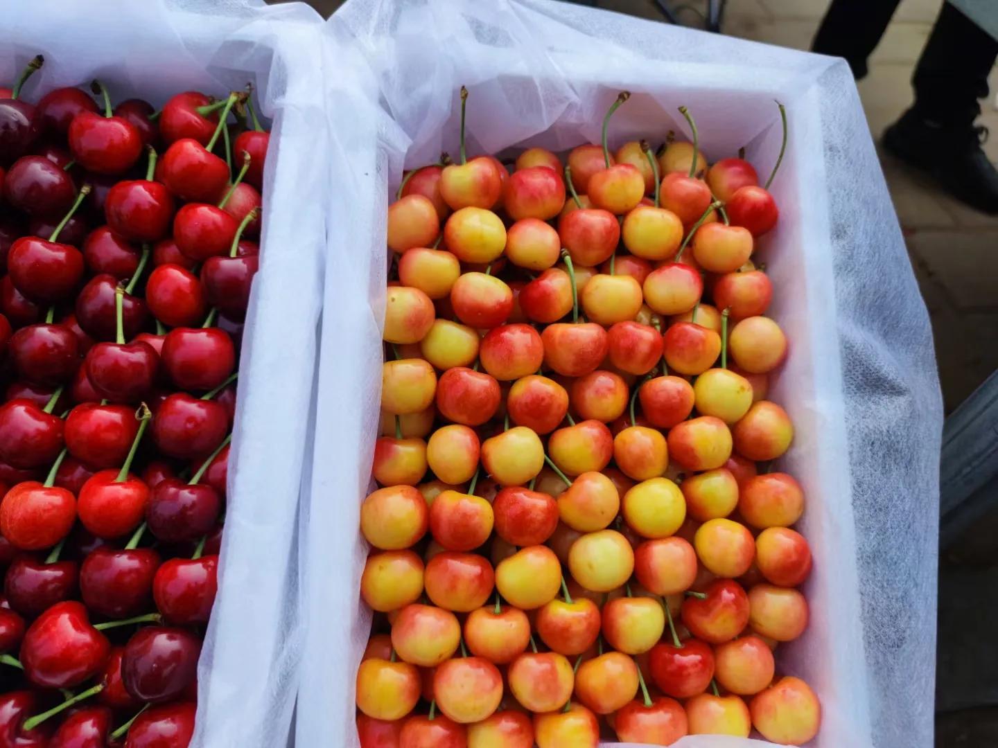 樱桃挑硬还是软的好,樱桃尺寸买多大的合适