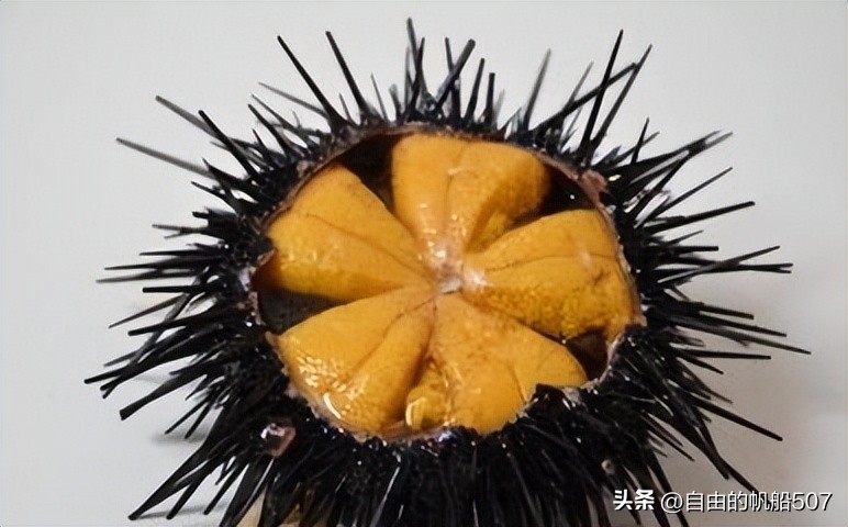 辽宁省大连市西岗区八一路,辽宁省大连市西岗区房价