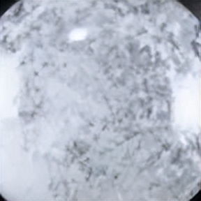 双十一护肤品囤货清单,双十一攻略大牌母婴必备囤货清单