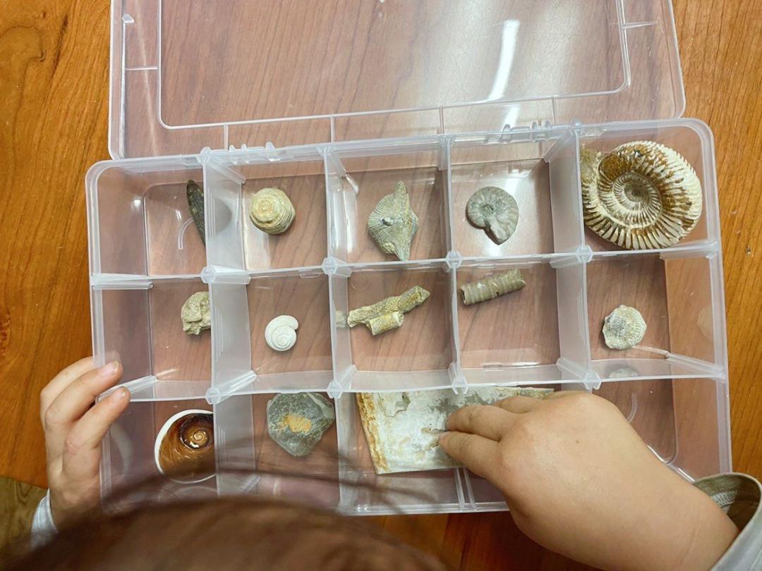 孩子经常提问我该怎么办,孩子问什么都不说怎么沟通