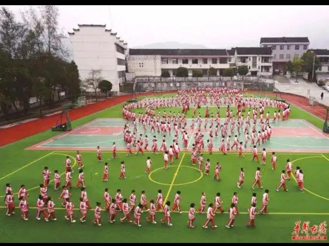 世界杯所给我们带来的感悟,感谢世界杯的文章