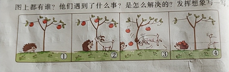 一二年级必考看图写话20篇,期末看图写话一年级