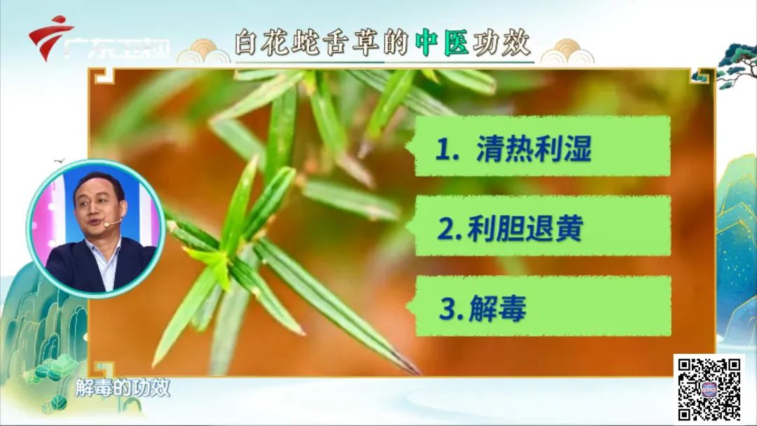 春季疏肝护肝的方法有哪些,春季女性疏肝解郁最好的茶