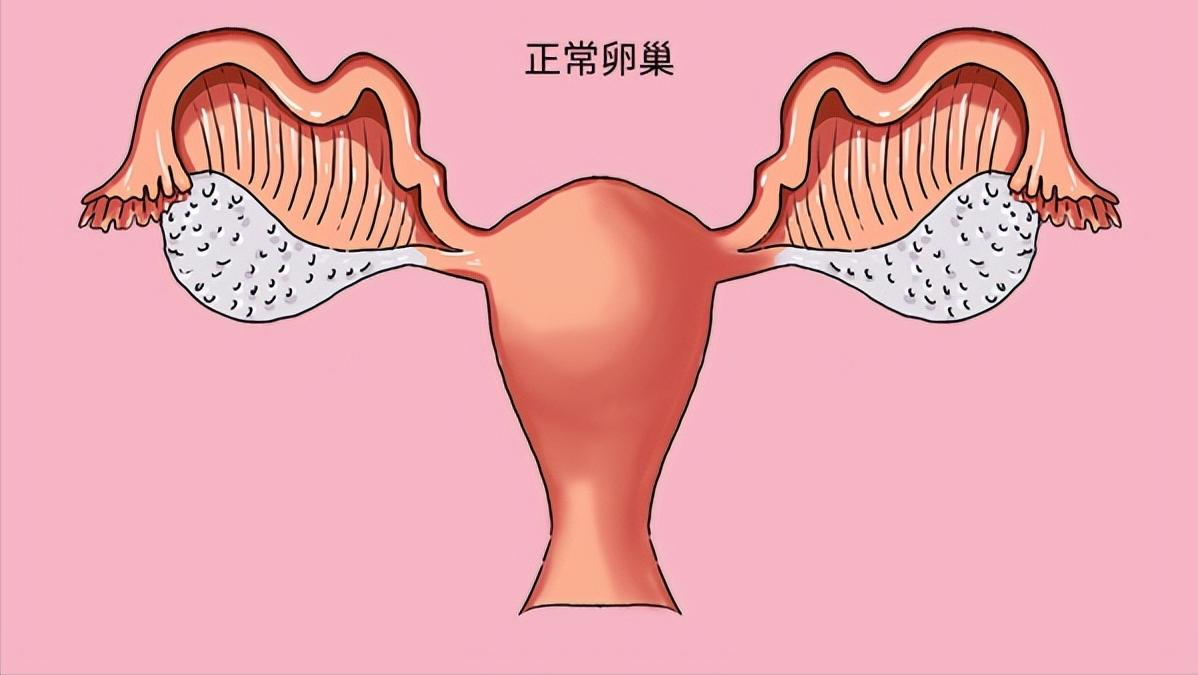为什么现在不孕症的这么多,不孕症缘何困扰着大龄男女