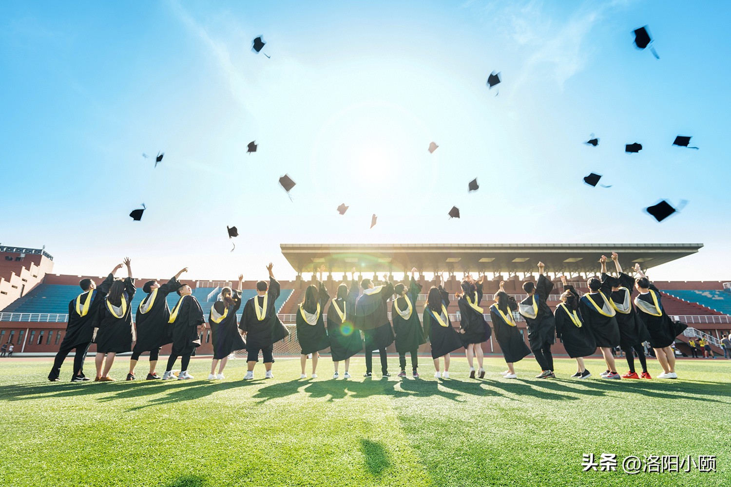 洛小颐献计策！应届高校毕业生可以享受哪些就业创业政策？
