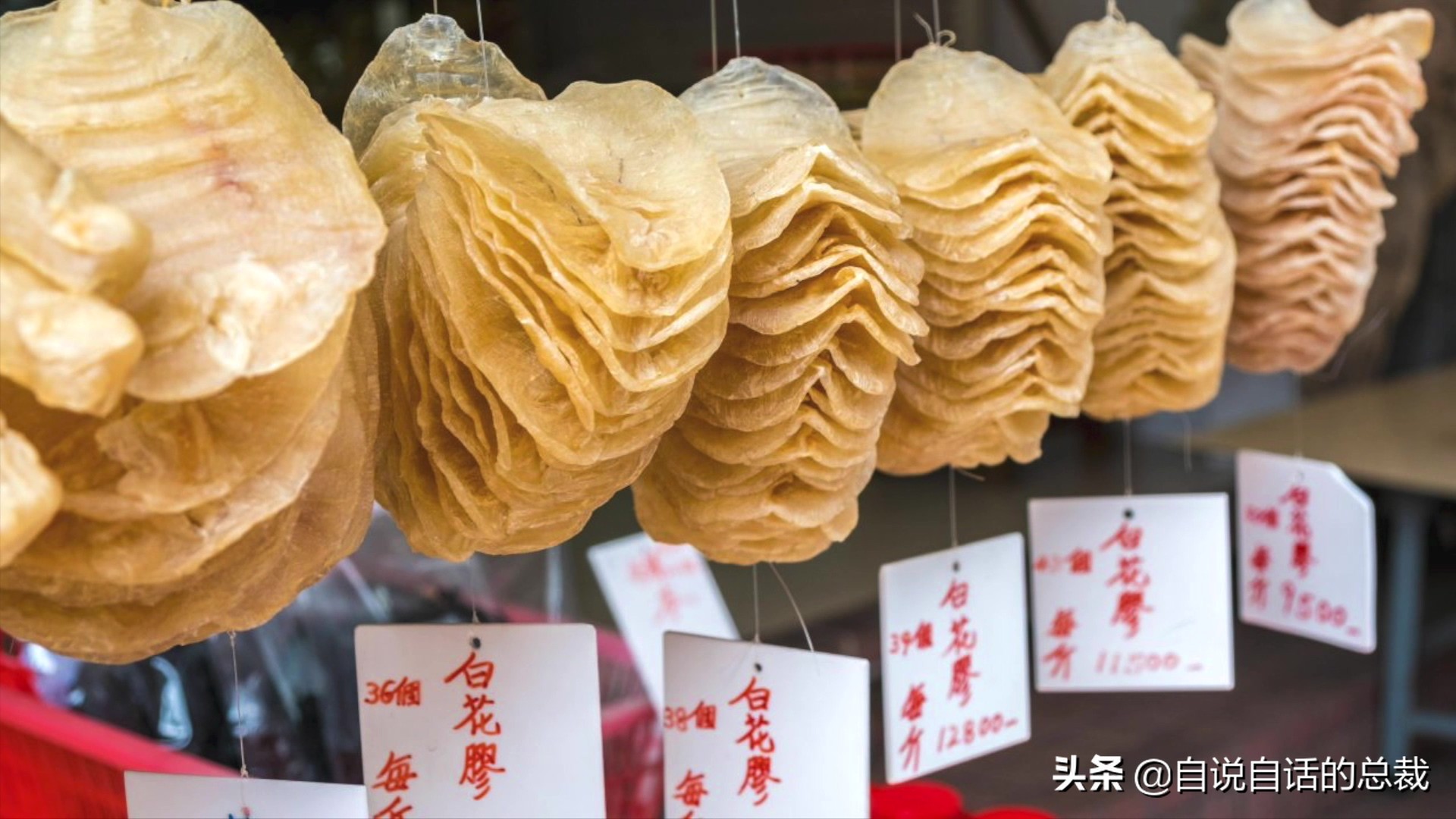 目前野生大黄鱼为什么这么贵,大黄鱼最贵价格多少钱一斤