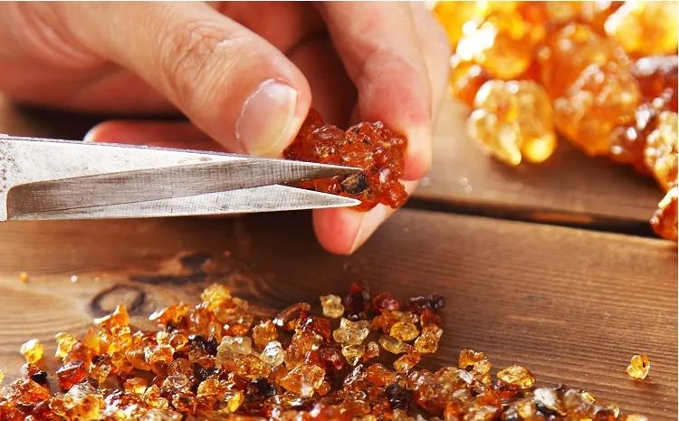 树上刚采摘的桃胶多少钱一斤,农村没人要的好货