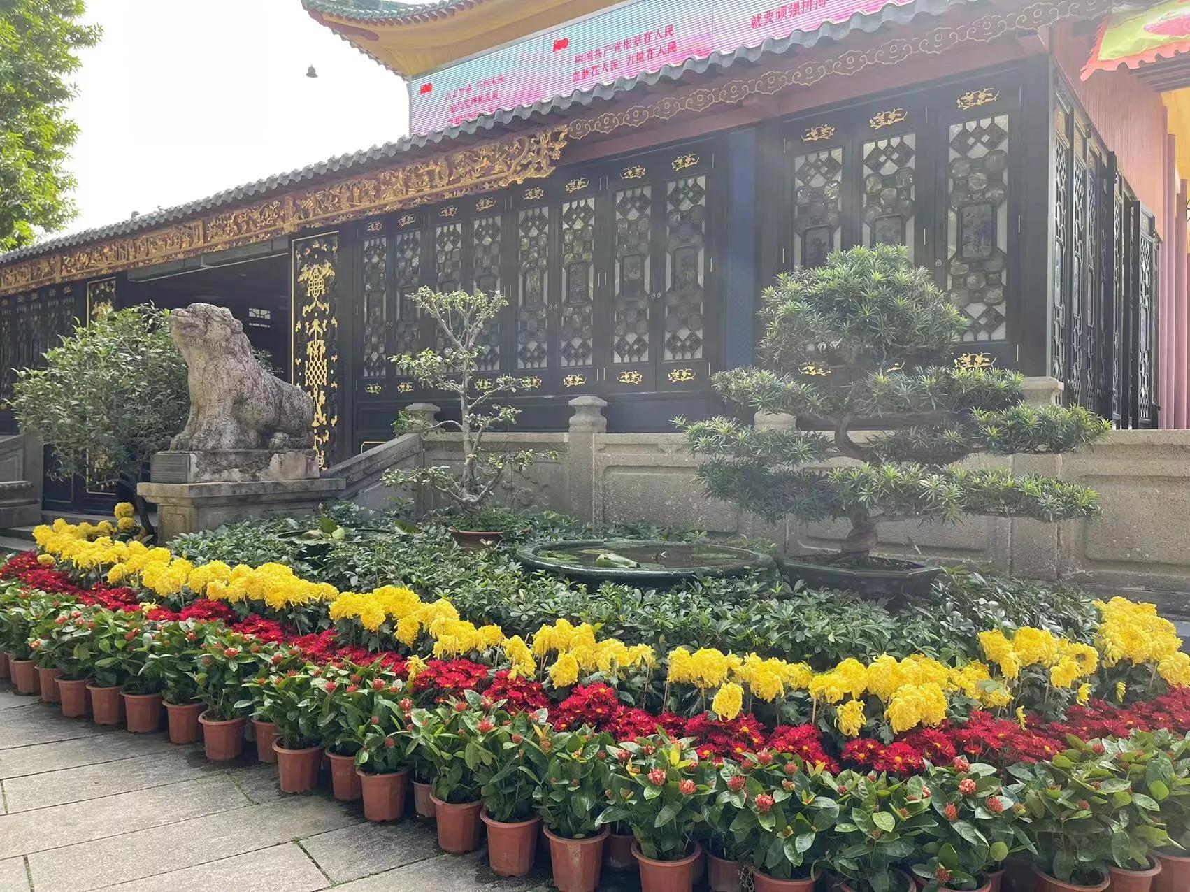 佛山岭南醒狮门票,佛山岭南醒狮团比赛