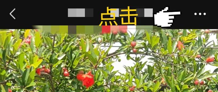 微信设置及朋友圈技巧,微信发布朋友圈不带图片怎么发布