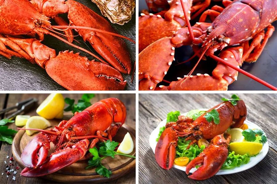 儿童画小龙虾怎么画,少儿美术创意画夏日小龙虾