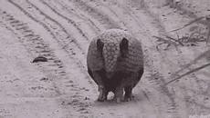 相亲对话笑话段子爆笑,笑话段子逗相亲对象开心