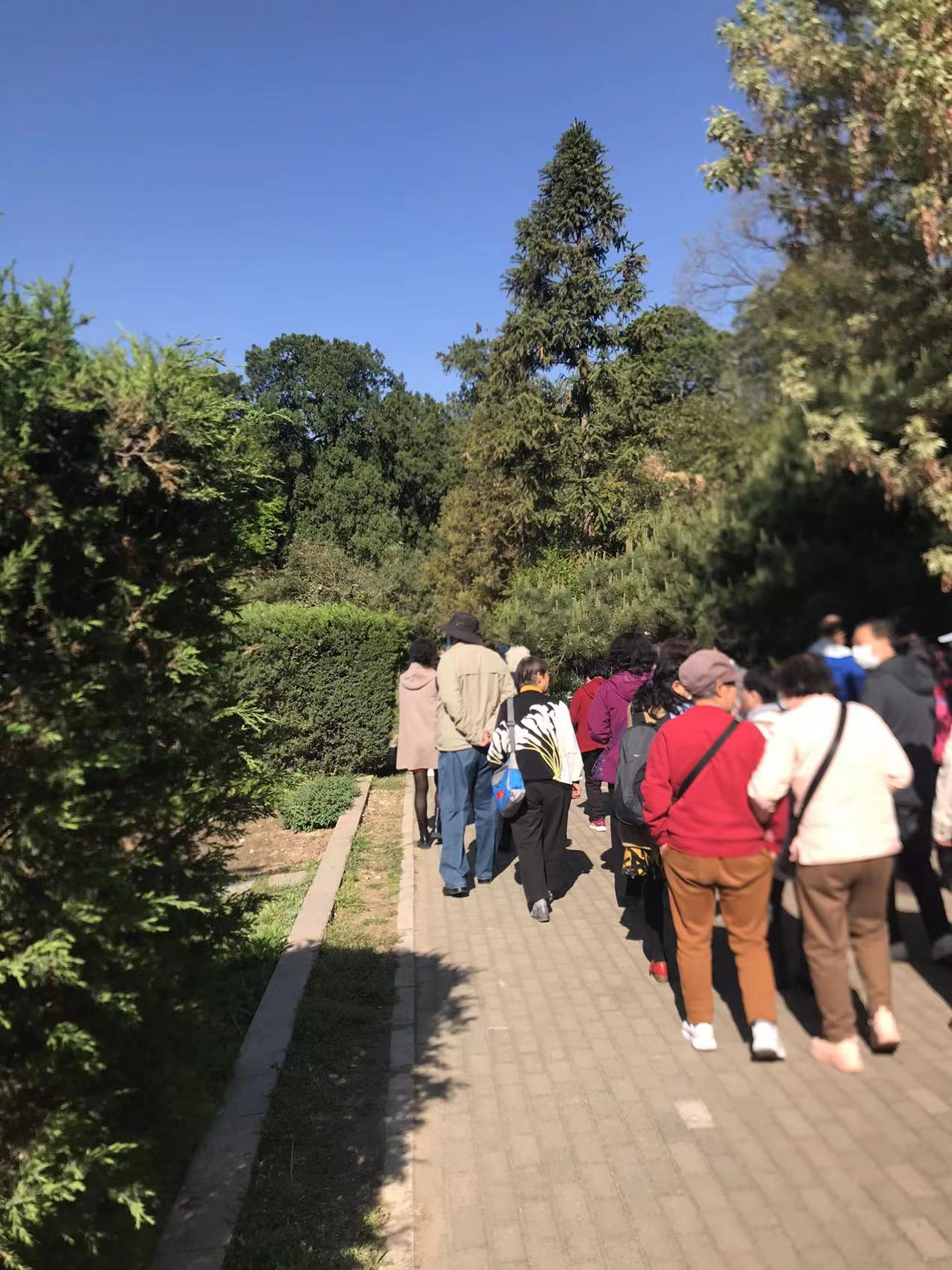 中国最大的蜜蜂研究所,中国蜜蜂博物馆