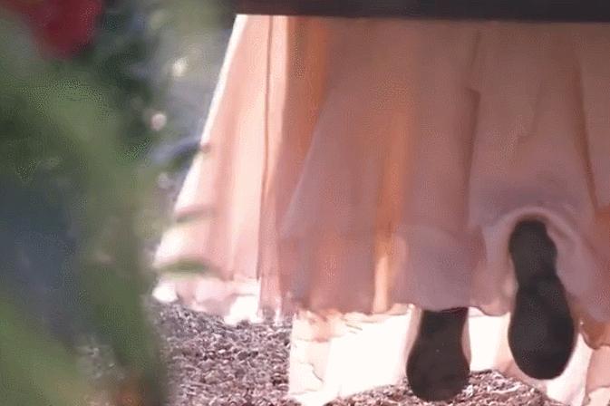 所有遇见皆是天意完整版,所有遇见皆是天意歌曲