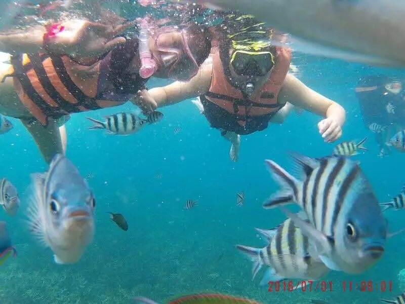 80鍚庡皬瀛︾敓姣曚笟鎵撳伐,80骞翠唬灏忓杈嶅鎵撳伐