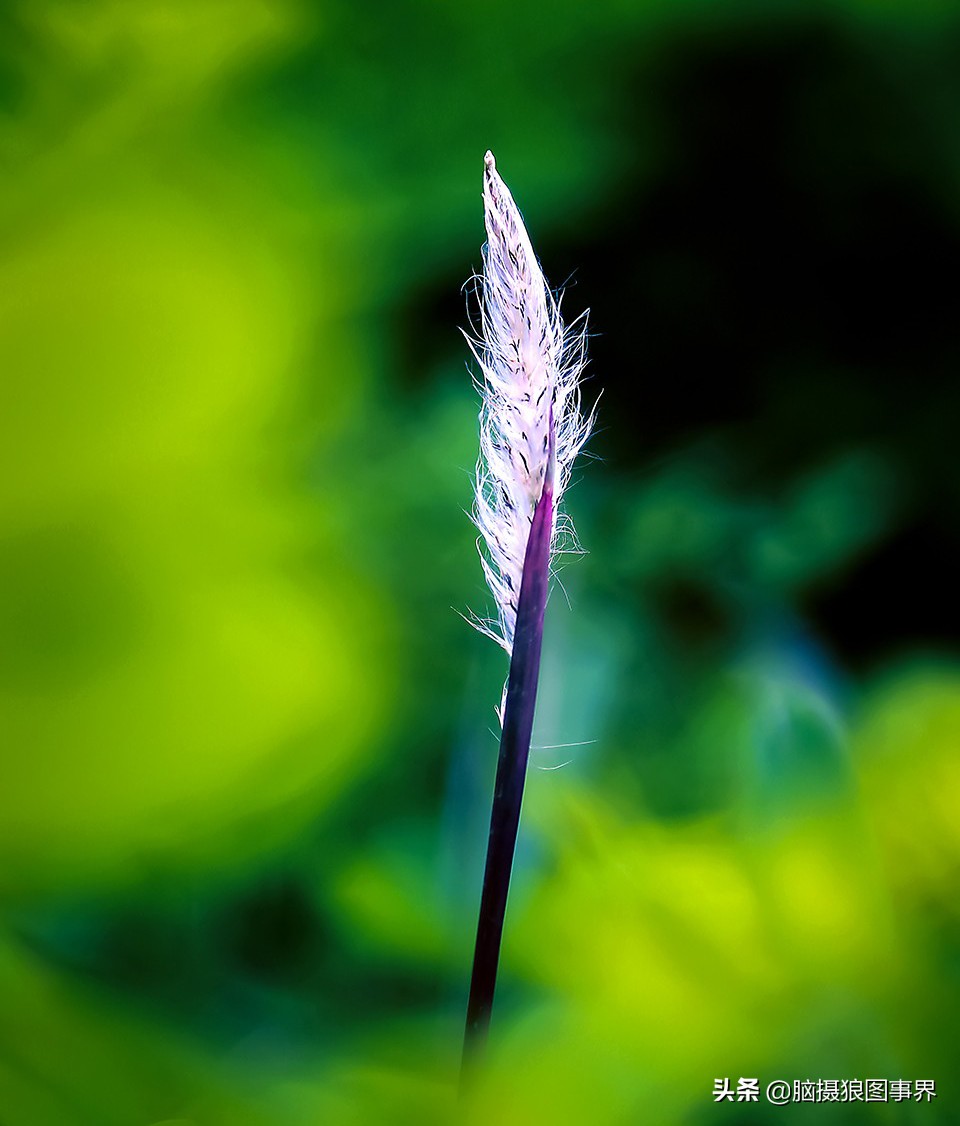 你拍的照片不够唯美,你拍的照片不清晰是怎么回事