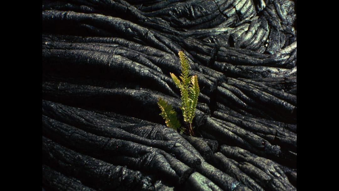 一个品牌的形象有哪些,名创优品是怎么火起来的