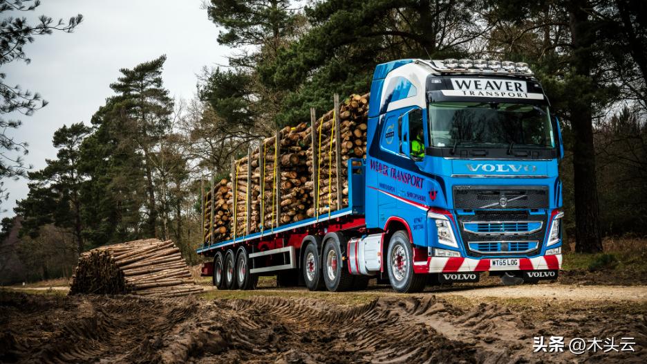 喀麦隆木材贸易,喀麦隆扩大原木出口限制