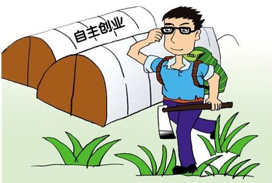 当下大环境适合哪些投资,当下大环境适合做什么生意