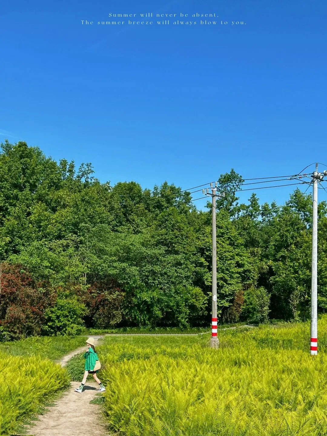 成都周边夏季周末好去处,端午成都周边游推荐