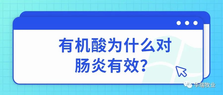 对虾镰刀菌用什么杀菌剂最好,对虾使用有机酸解毒