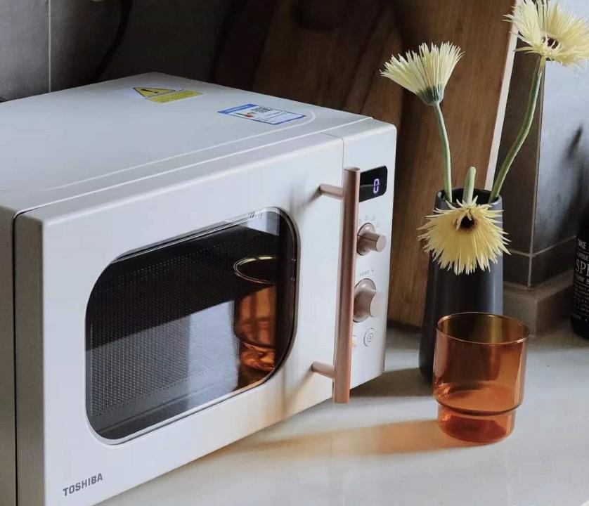 老式家用小型家电推荐,五种家电最不值得买建议收藏