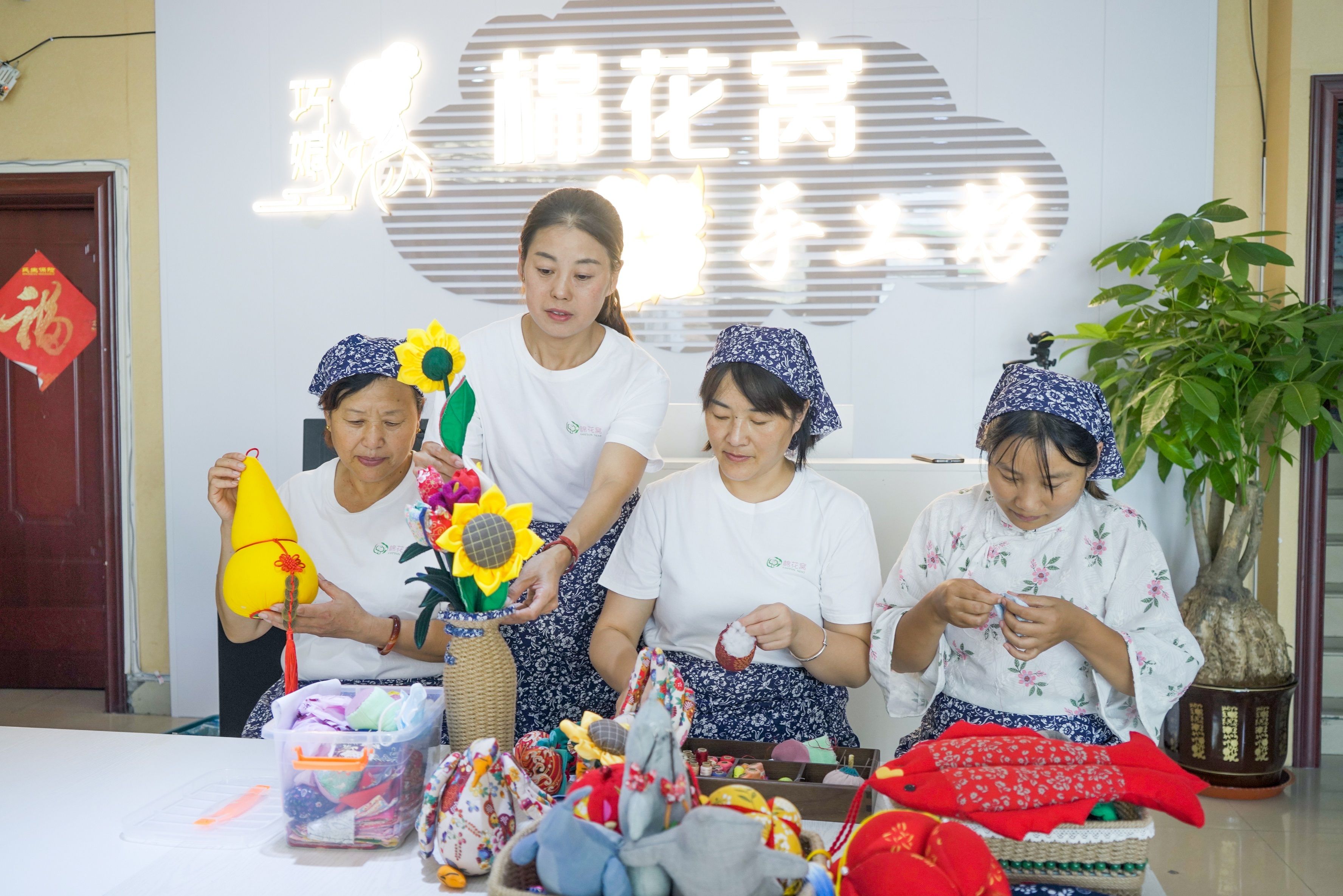 五朵金花绽放光芒,山东鲁北五朵金花图片