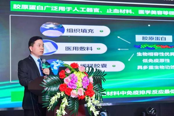 巨子生物重组胶原蛋白,巨子生物有没有三型胶原