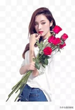 五月的玫瑰小说,五月的玫瑰情书