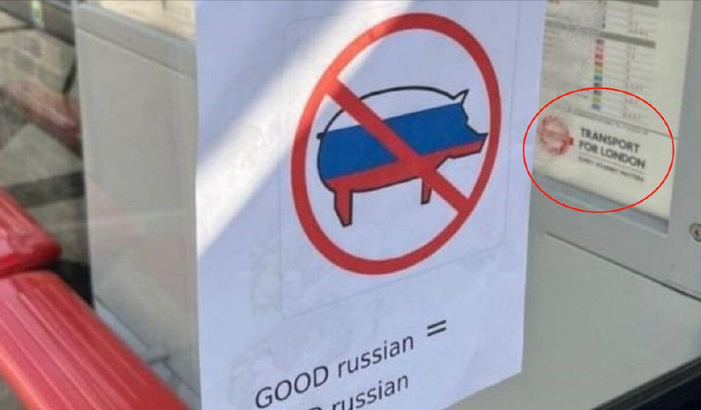 魔怔！欧洲十大反俄奇闻：组织黑人联谊乌女孩逼俄选手骂本国总统