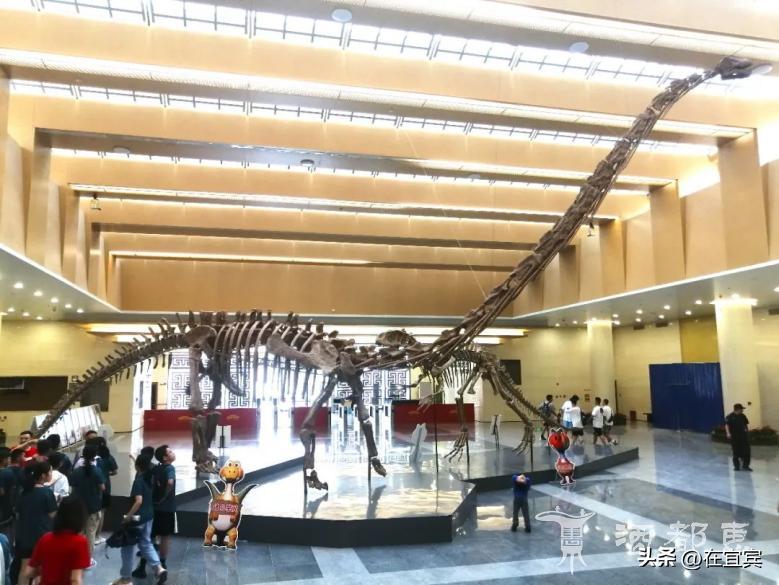 恐龙故乡黑龙江,四川的恐龙之乡