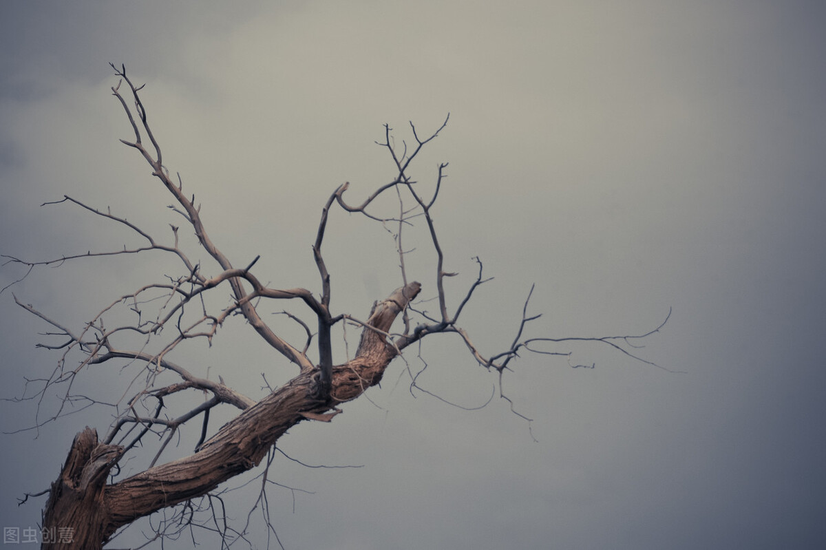 一口气读完百年孤独,百年孤独读完了毫无感觉