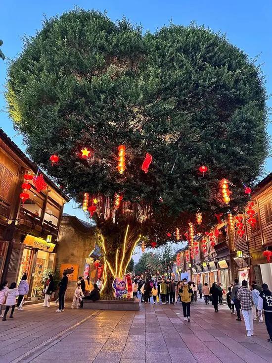 福州一日游——福州土著教你在福州如何花最少的钱打卡最多的景点