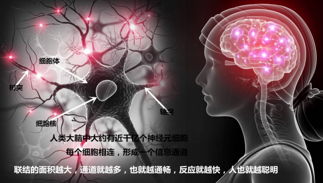 哪种药用来治脑萎缩,担心脑萎缩如何延缓脑的衰老