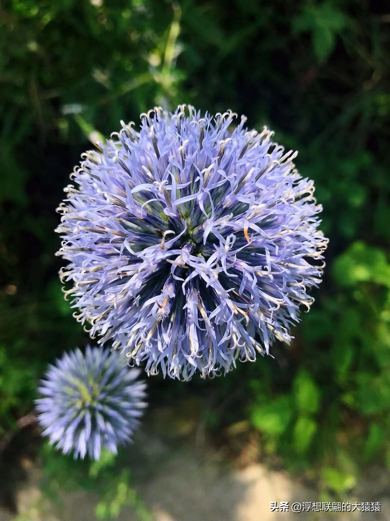 济南章丘旅游一日游,济南章丘一日自驾游攻略