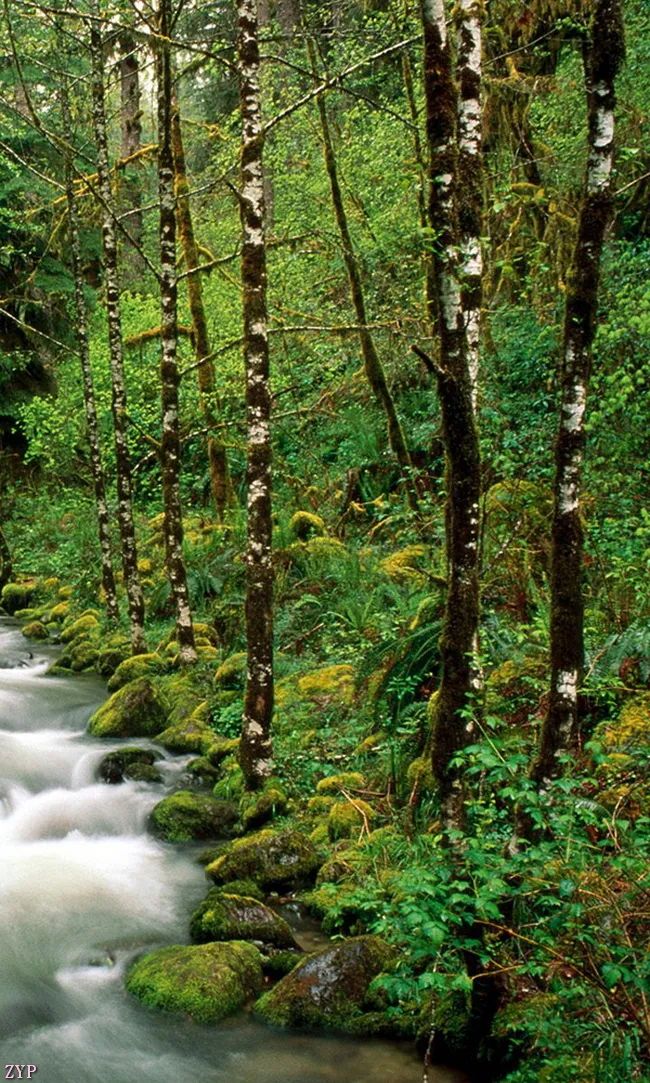 太美了100张人间美照,太美了最美中国红