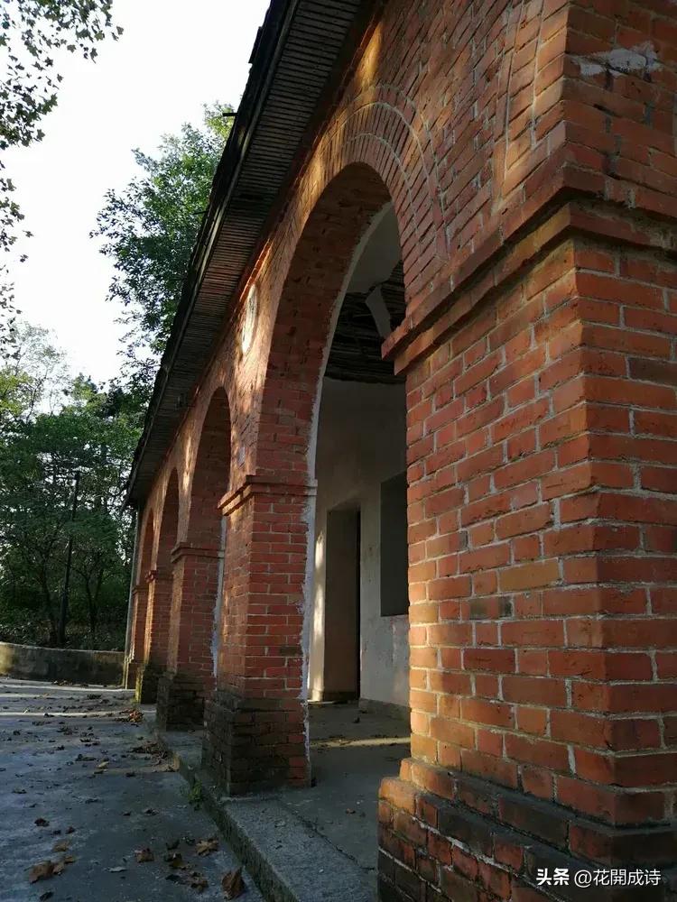 风吹哪页读哪页，哪页不懂撕哪页！