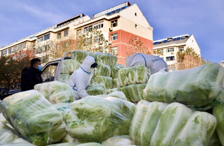 德州好邻居！东方家园一业主自掏腰包购买2.5吨蔬菜送邻里