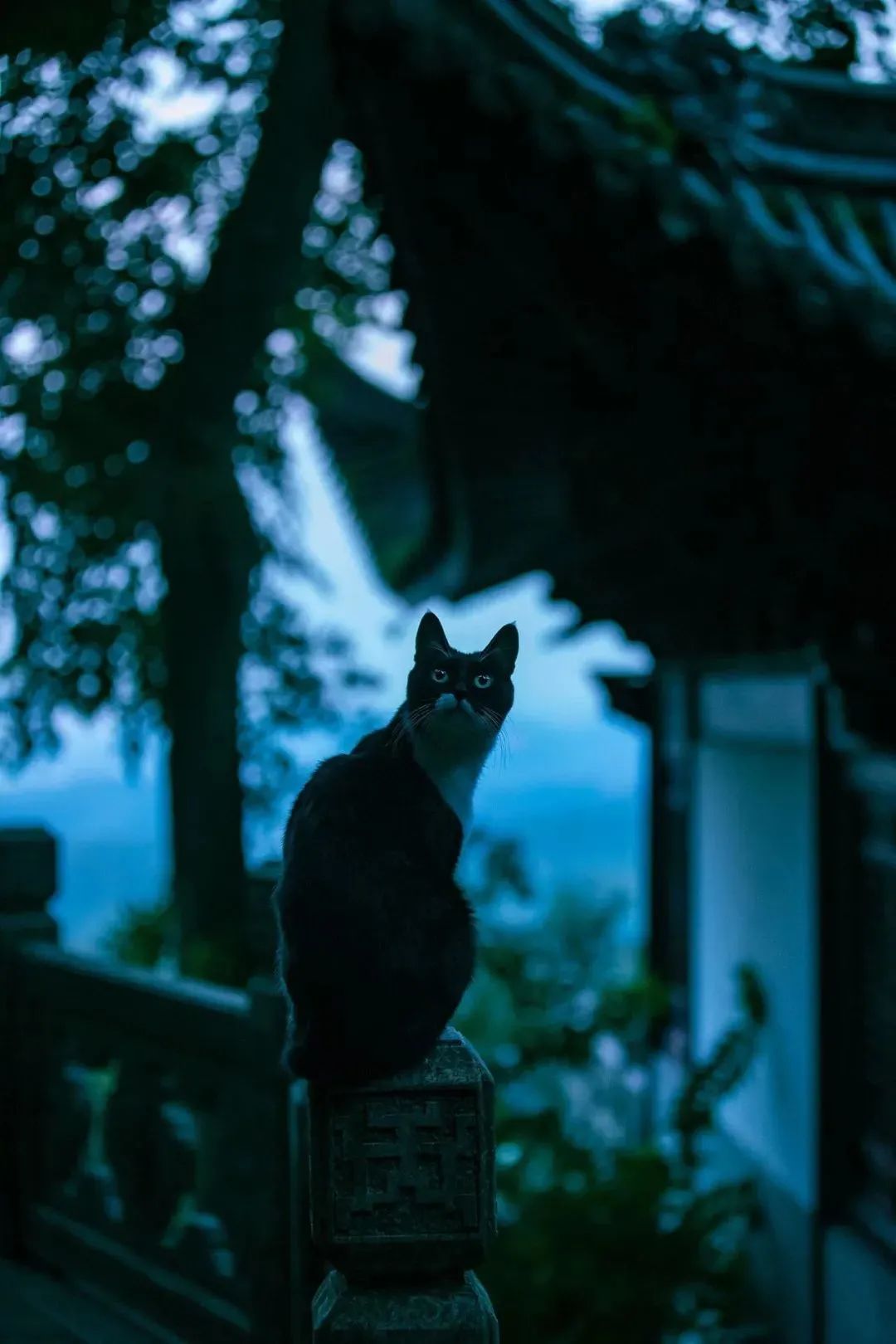 杭州灵隐寺周边有哪些寺庙,杭州最值得去的寺庙除了灵隐寺
