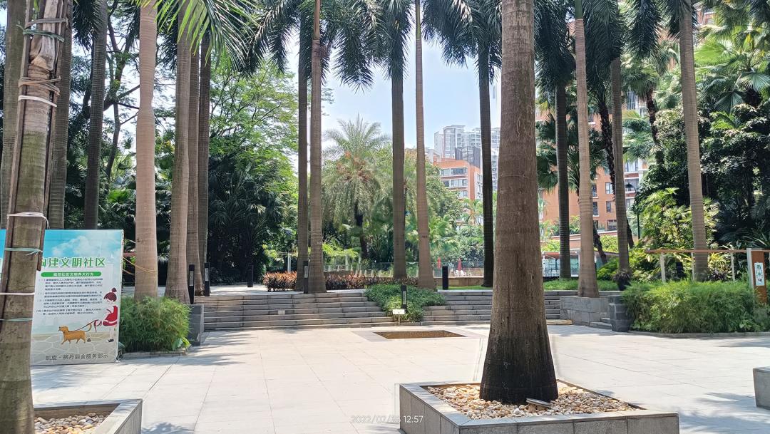 珠江新城凯旋新世界176方,珠江新城凯旋新世界成交价