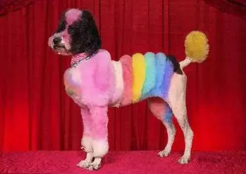 捷克的十大冷知识,你不知道的国家冷知识捷克篇