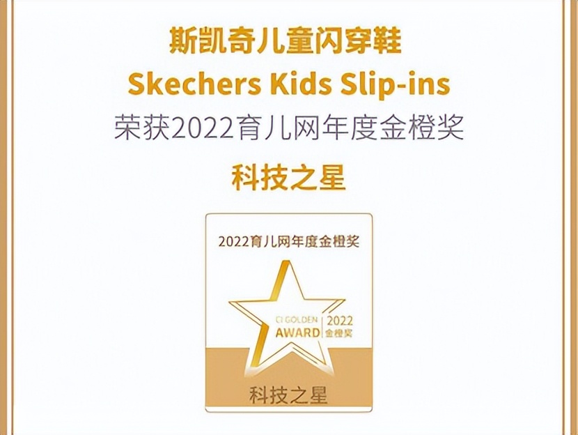 斯凯奇五种竞争力分析,斯凯奇的经营战略